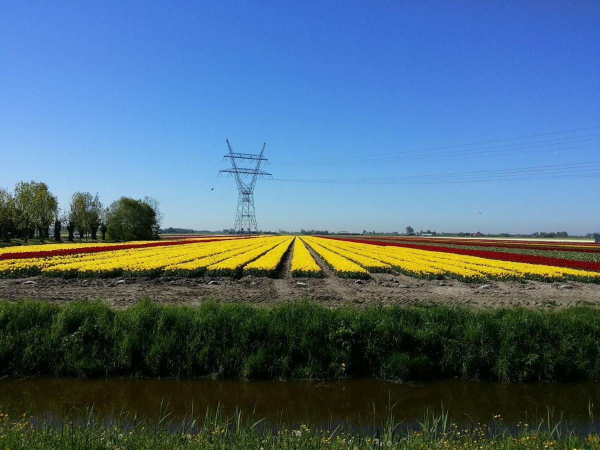 Tinyhouse Natuurhuisje Met Veranda Bij De Molen Tussen Alkmaar En Hoorn *
